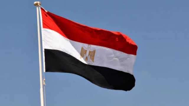 لحظة اختطاف فتاة من قبل أشقائها في وضح النهار بمصر .. فيديو
