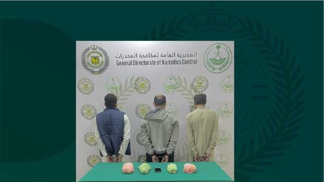 القبض على مخالف ومقيمين لترويجهم نبات القات بالمنطقة الشمالية 