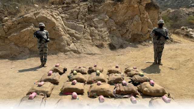 إحباط تهريب 400 كيلوجرام من القات بجازان
