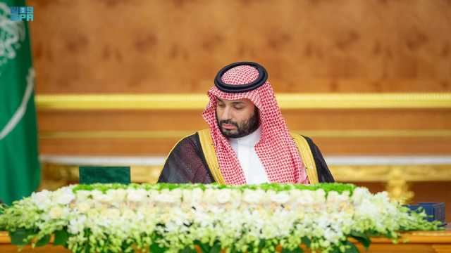 تفاصيل قرارات مجلس الوزراء