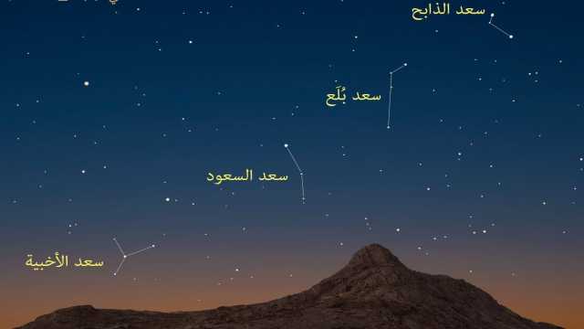 المسند: اليوم دخول طالع سعد الذابح