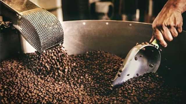 أسعار البن العالمية تسجل ارتفاعًا تاريخيًا والمملكة تعزز إنتاجها المحلي