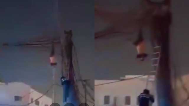 عامل كهرباء يتعرض لـ صعقة قاتلة ويعلق بين الأسلاك .. فيديو
