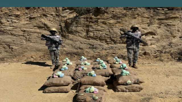 إحباط ترويج 825 كيلوجرامًا من القات بجازان وعسير
