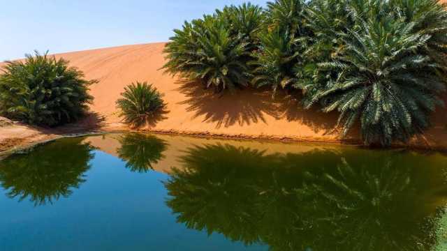 اليونسكو تدرج شمال الرياض وسلمى ضمن شبكة الجيوبارك العالمية