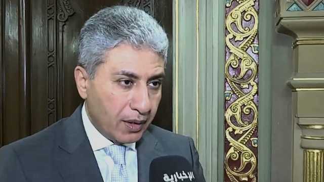 وزير السياحة المصري: لا تهاون مع الحجاج غير النظاميين.. فيديو