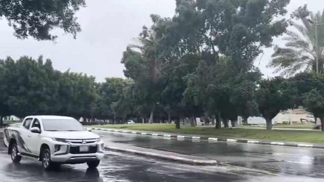 الفازنلي: الحرارة لم تصل لذروتها ومازالت توجد ملامح الشتاء ..فيديو