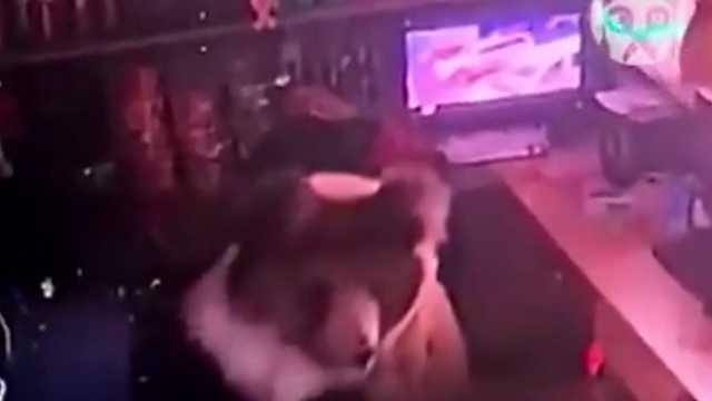 دب يقتحم فندقًا في الصين فجرًا بحثًا عن الطعام.. فيديو