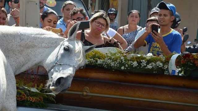 حصان يحضر جنازة صاحبه الذي توفى بشكل مفاجئ ..صور