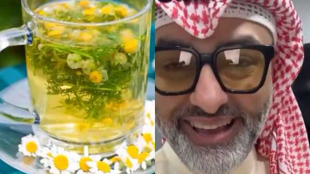 الحداد: البابونج يعالج الإكزيما والأرق والتوتر .. فيديو