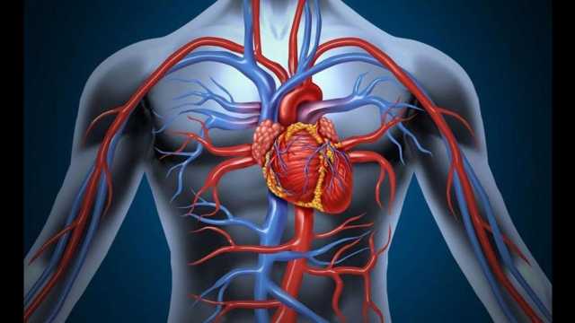 النمر:علاج الأوزون لايفتح شرايين القلب المسدودة