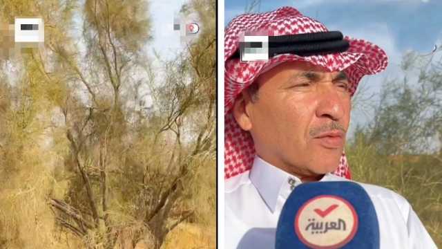 مواطن من القصيم يستبدل نخيل مزرعته بـ 65 ألف شتلة غضا .. فيديو