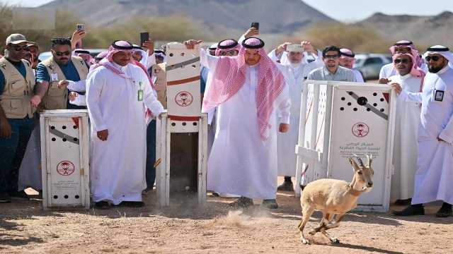 إطلاق 22 كائنًا فطريًا مهددًا بالانقراض في متنزه البيضاء البري