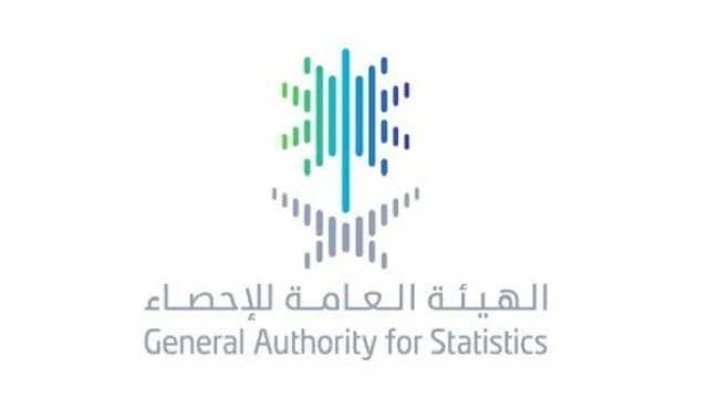 الإحصاء: 71 % من المواطنين أعمارهم تحت 35 عامًا