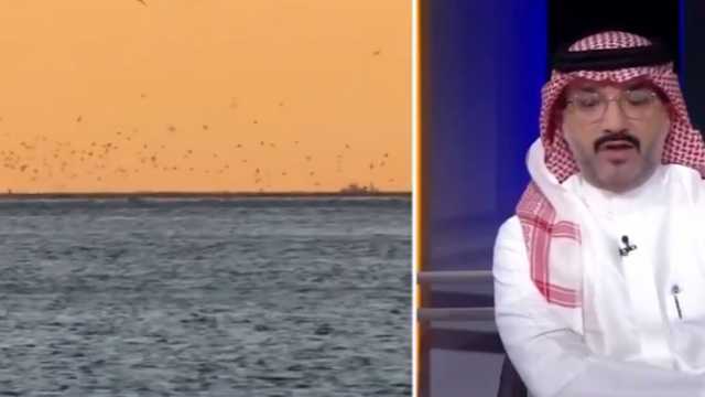 الناظري يكشف عن أبرز الأنواع البحرية المحظور صيدها بالمملكة .. فيديو