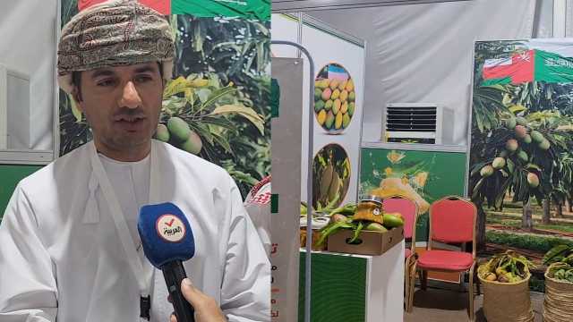 مزارع عماني يشارك في مهرجان المانجو بجازان.. فيديو