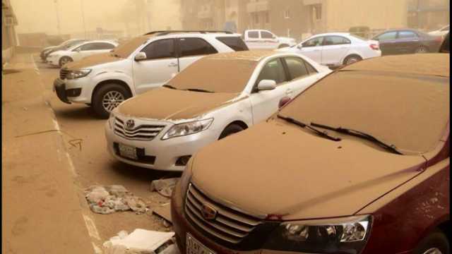 المسند : ابتداءً من غدٍ اغسلوا السيارات والحدائق