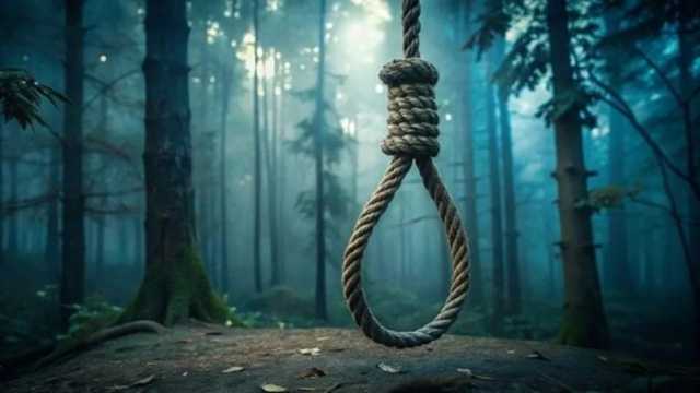 جثث تتدلى من الأشجار تثير الرعب في المغرب