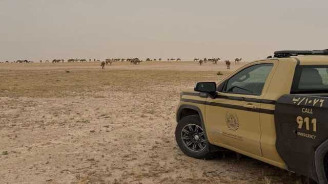ضبط مخالف لارتكابه مخالفة رعي في محمية الملك عبدالعزيز الملكية