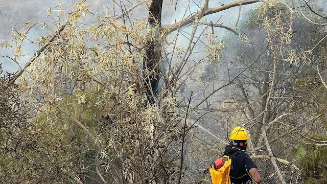 مدني جازان يسيطر على حريق في أعشاب بمنطقة جبلية