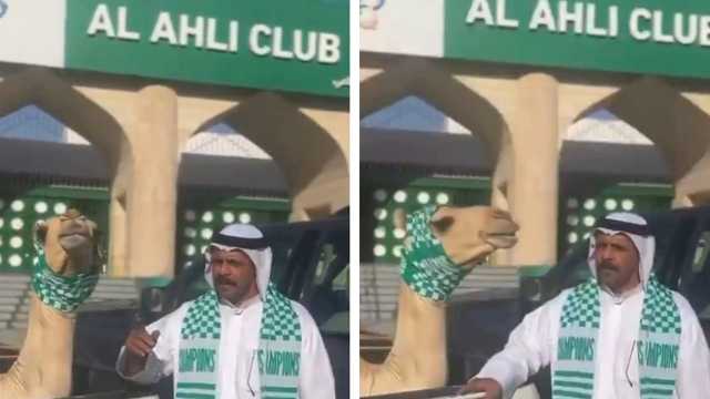 الشاعر سلطان سليم يذبح قعودًا احتفالًا بتتويج الأهلي بطلًا للنخبة الآسيوية.. فيديو