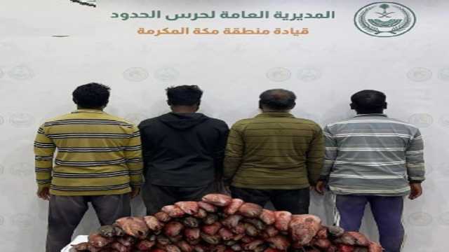 ضبط 4 مقيمين مخالفين للائحة الأمن لمزاولي الأنشطة البحرية