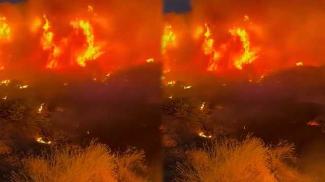 حريق ضخم يلتهم الأشجار في عرعر.. فيديو