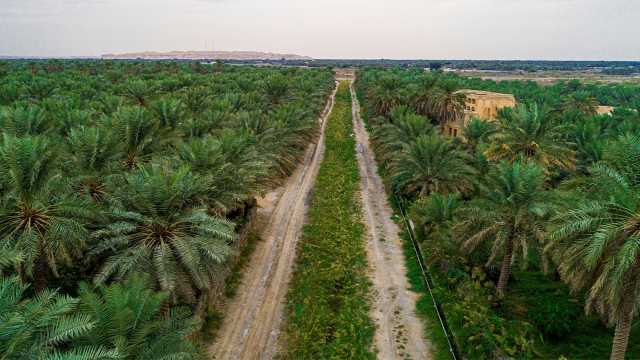 الأحساء ثاني أعلى درجة حرارة في العالم