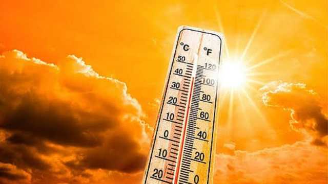 الحصيني: طباخ والتمر في يوليو أكثر الشهور حرارة