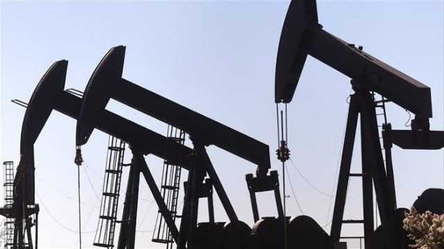 أوبك تُبقي على توقعاتها لنمو الطلب العالمي على النفط في 2025
