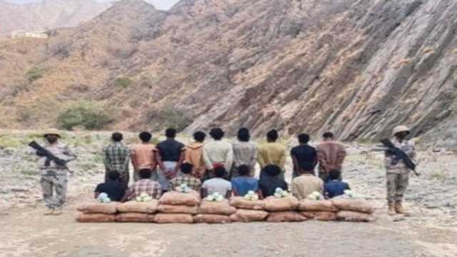 القبض على 24 شخصًا لترويجهم وتهريبهم مواد مخدرة