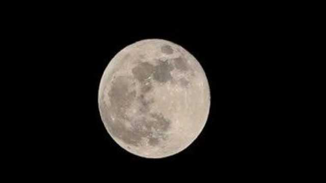 فلكية جدة: بدر محرم يُزيّن سماء الوطن العربي اليوم