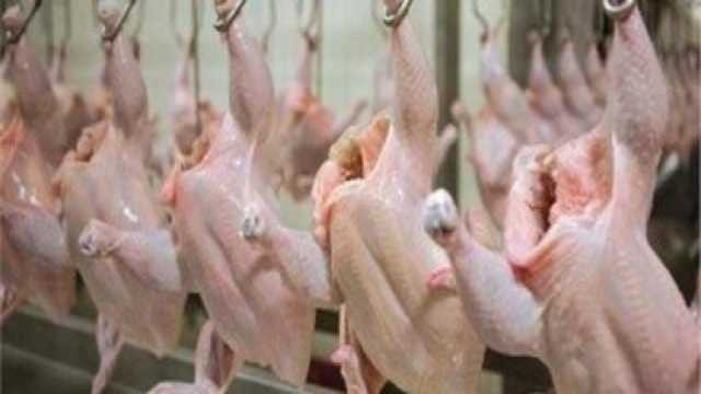 ضبط مسلخ دواجن عشوائيًا في الرياض