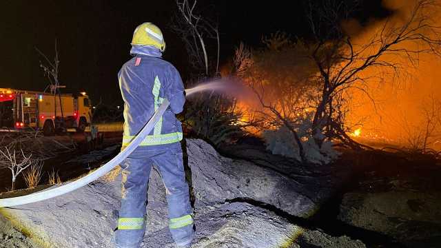 مدني المدينة المنورة يباشر حريقًا اندلع في أشجار بوادي النقمي