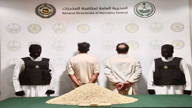 ضبط 411,546 قرصًا من الإمفيتامين المخدر داخل أنابيب بلاستيكية في أحشاء أغنام.. فيديو