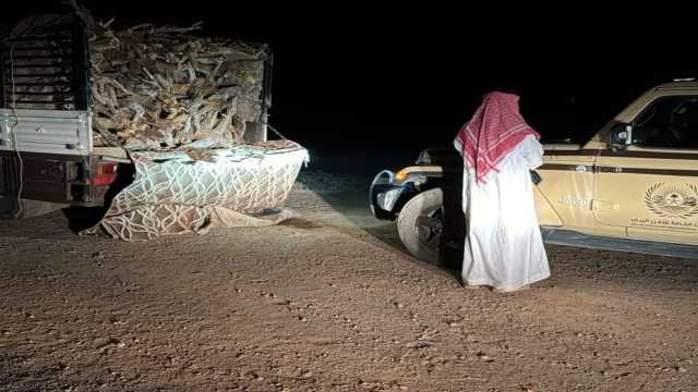 ضبط مواطن لنقله حطبًا محليًا في المدينة المنورة