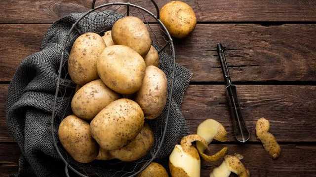 دراسة حديثة تكشف كيف نشأت البطاطس من تزاوج نادر قبل ملايين السنين .. فيديو