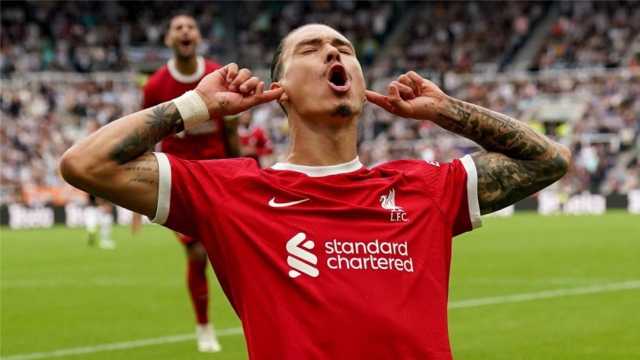 داروين نونيز يصل ألمانيا تمهيدًا لانضمامه رسميًا إلى الهلال