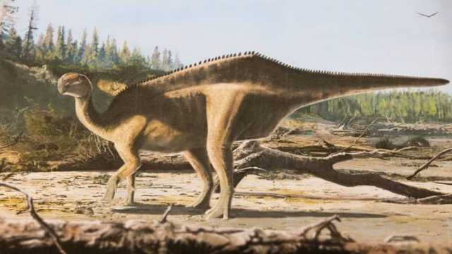 اكتشاف نوع جديد من الديناصورات العملاقة