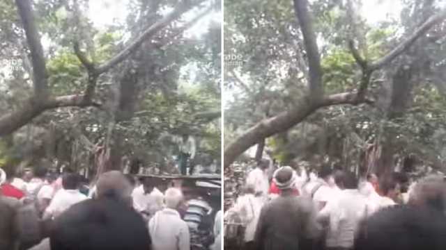 قرد يتسلل لمقر حكومي ويسرق حقيبة نقود .. فيديو