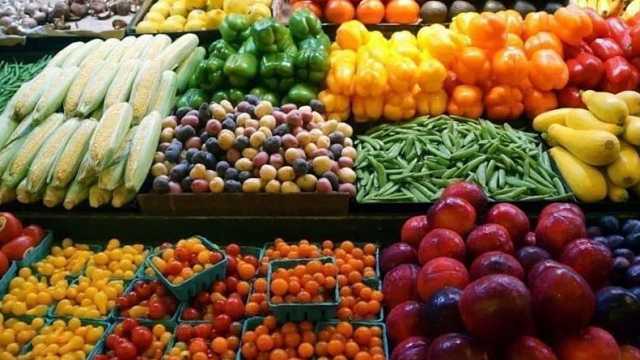 زراعة تبوك تطلق مهرجان المنتجات الزراعية الثاني بمركز أشواق
