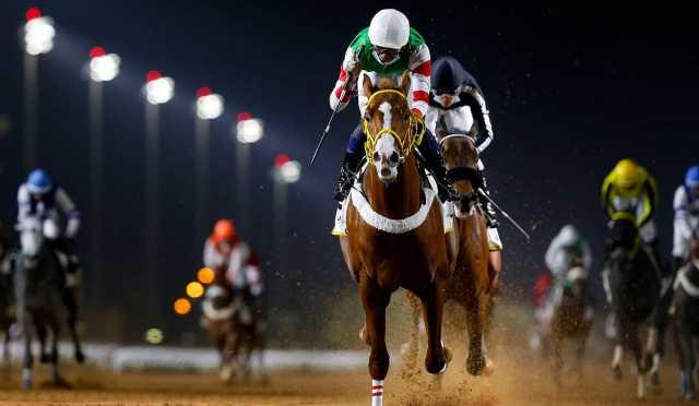 انطلاق مهرجان كأس الملك فيصل لسباقات الخيل السبت المقبل