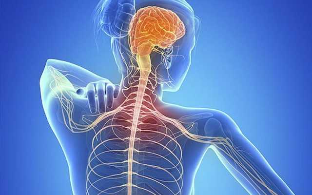 8 أعراض له.. كيف يُصيب التصلب اللويحي الجسم؟