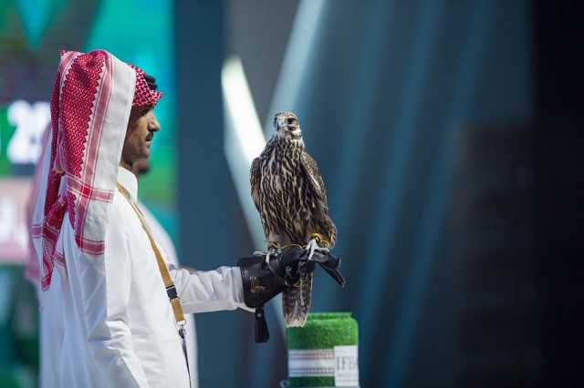 شملت 642 صقرًا.. مبيعات المزاد الدولي لمزارع إنتاج الصقور تجاوزت 8 ملايين ريال