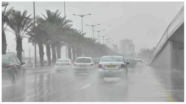 تنبيهات الأرصاد: شبورة مائية «ضباب خفيف» في 3 مناطق