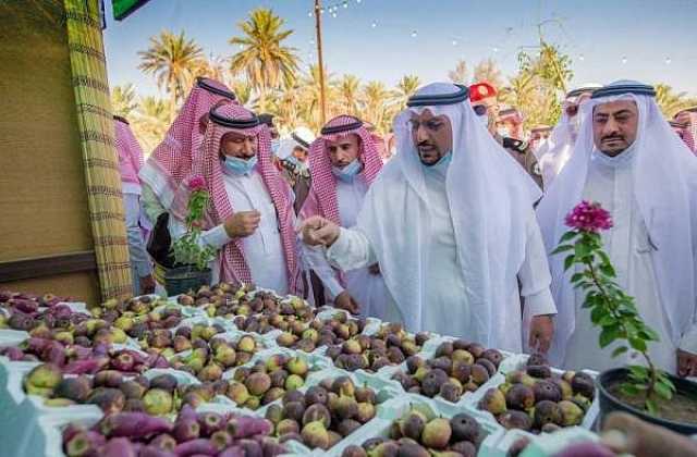 انطلاق مهرجان تين القصيم بمحافظة البدائع في نسخته الرابعة
