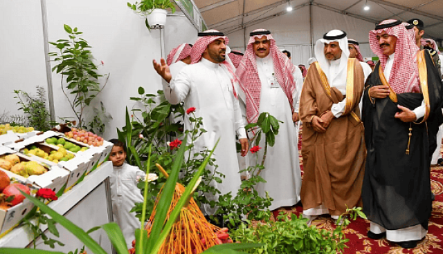 'تيماء' تحتضن مهرجان المنتجات الزراعية الأول بالمحافظة