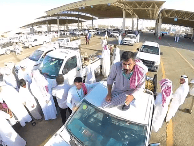 كرنفال بريدة للتمور.. شبان حولوا مركباتهم لمسرح لإظهار مواهبهم