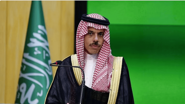وزير الخارجية ونظيره المصري يبحثان أوجه تعزيز العمل الثنائي