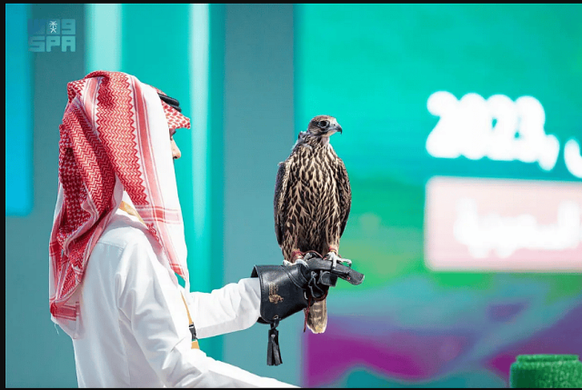 بيع ٣ صقور إيرلندية خلال منصة المزاد الدولي لمزارع إنتاج الصقور بالرياض